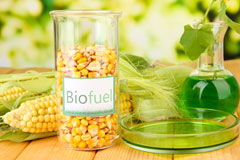 Bruan biofuel availability