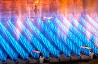 Bruan gas fired boilers
