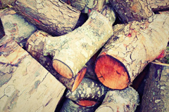 Bruan wood burning boiler costs